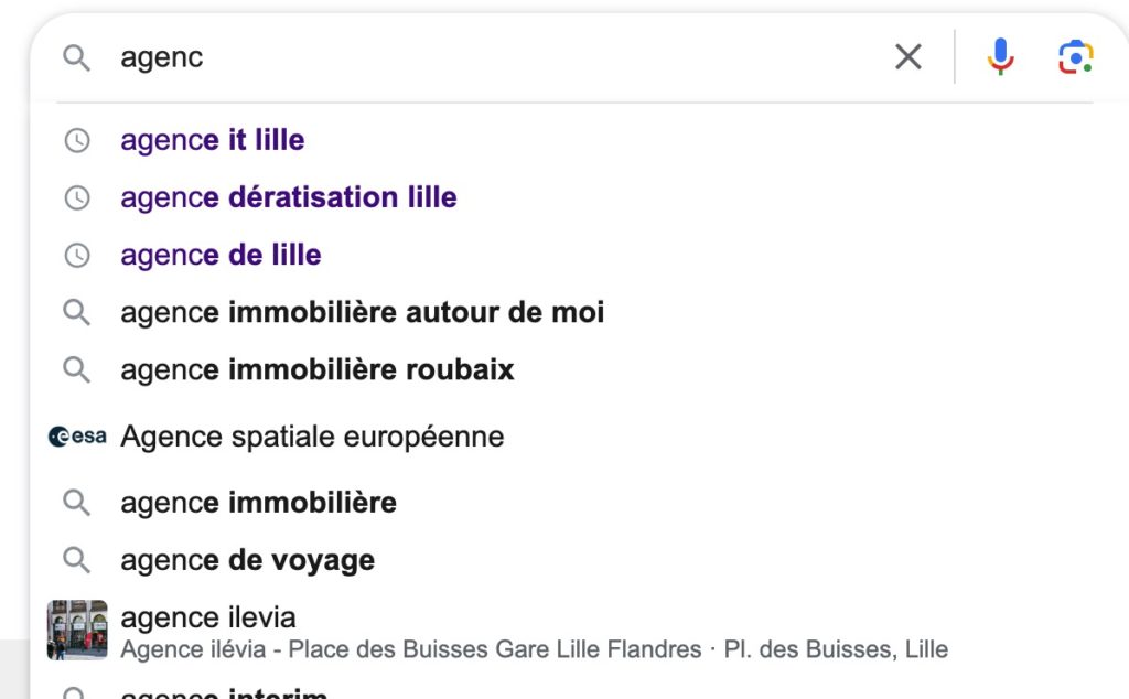 Exemple typique de suggestion de recherche dans Google.com